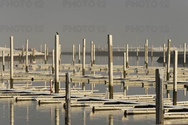 Winter day, onset of winter, morning sun shining on the snow-covered jetties in the marina, North Sea, Norddeich, Lower Saxony, Germany