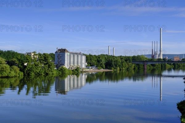 Main near Obernburg, Lower Franconia, Franconia, Germany