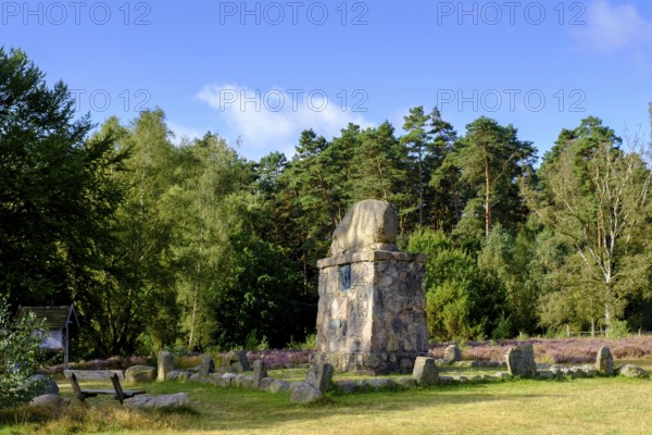 Hermann Löns monument, heath on Wietzer Berg, broom heather blossom, Südheide, Lüneburg Heath, near Faßberg, Lower Saxony, Germany
