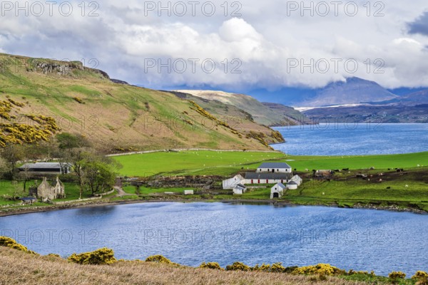 Farms over Loch Harport, Drynoch, Isle of Skye, Scotland, UK