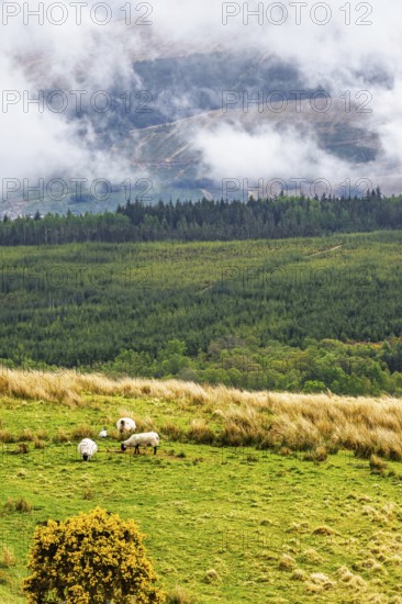 Nevis Range Mountains from Commando Memorial, Grampian Mountains, Fort William, Highland, Lochaber, Scotland, UK