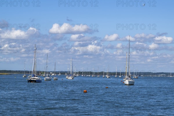 Boats over Brownsea Island, Poole, Dorset, England, United Kingdom