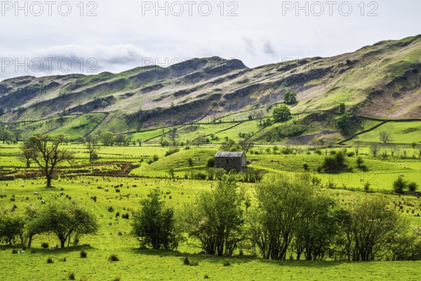 Farms in Lake District National Park, Cumbria, England, United Kingdom