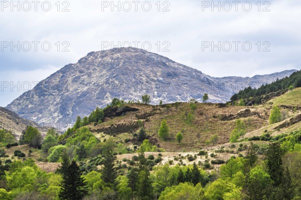 Loch Shiel, Glenfinnan Viaduct, River Finnan, West Highland, Scotland, United Kingdom
