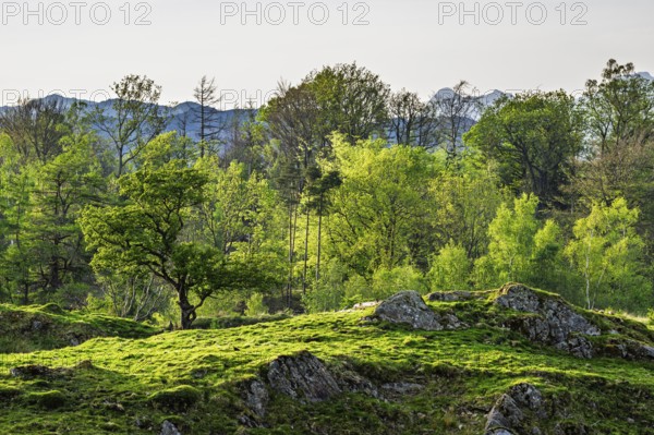 Mountains in Lake District National Park over Coniston Water, Cumbria, England, United Kingdom