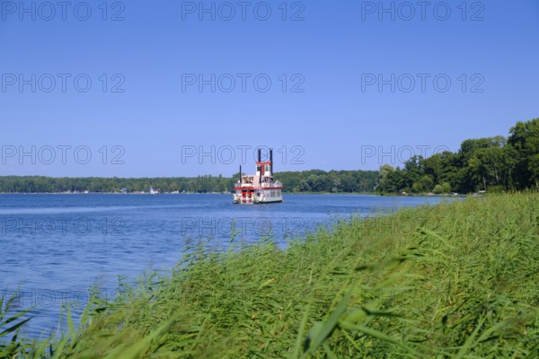 Paddle steamer Queen Arendsee on the Arendsee, Altmark, Saxony-Anhalt, Germany
