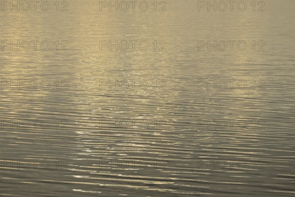 Light reflections on the wavy water surface, North Sea, Norddeich, Lower Saxony, Germany