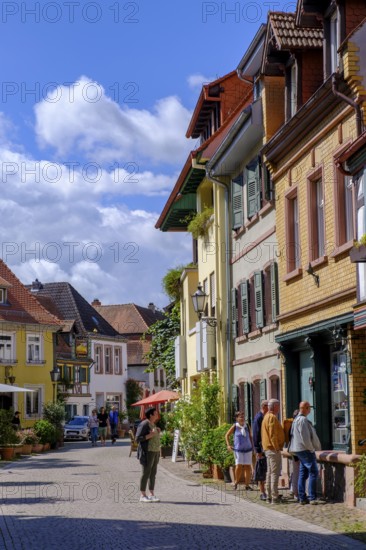 Kirchenstraße, half-timbered houses in the old town centre, Ladenburg, Rhine-Neckar district, Baden-Württemberg, Germany