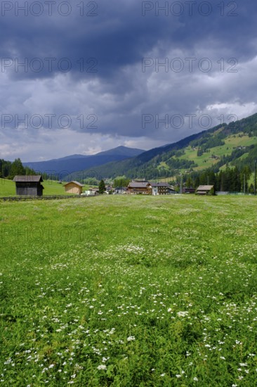 Sesto, Dolomites, Val Pusteria, South Tyrol, Italy