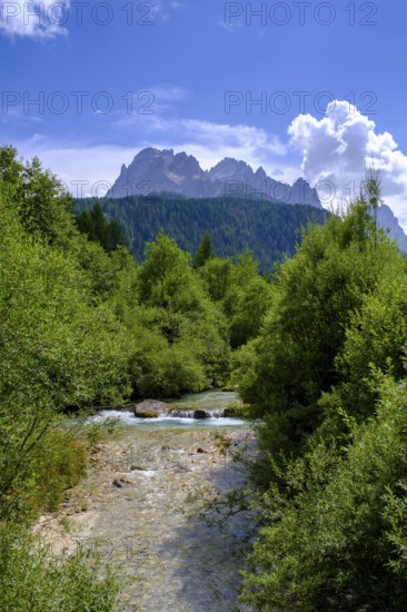 Fischleinbach in Val Fiscalina, Bad moss near Sesto, Dolomites, Val Pusteria, South Tyrol, Italy