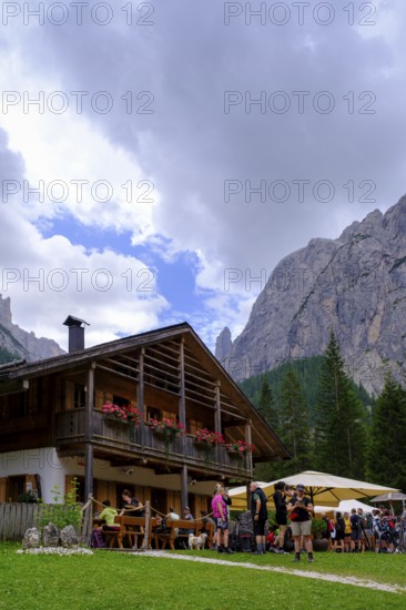 Talschlusshütte, Val Fiscalina, Bad moss near Sesto, Dolomites, Val Pusteria, South Tyrol, Italy