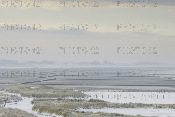 View over the snow-covered dune landscape of Norddeich, Wadden Sea at low tide, North Sea, Lower Saxony, Germany