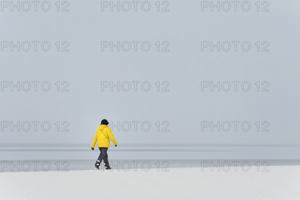 Winter day, onset of winter, person walking over a snow-covered dyke, North Sea, Norddeich, Lower Saxony, Germany