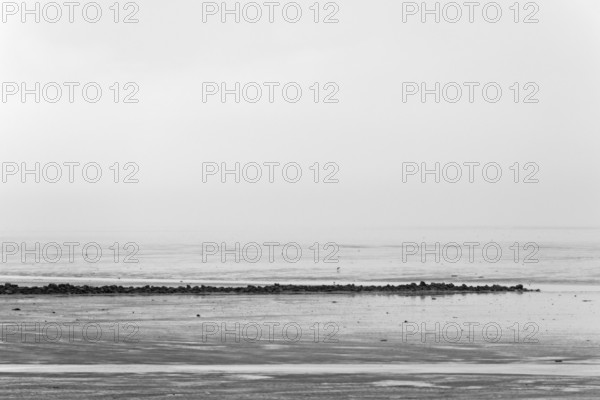 North Sea coast, cloudy winter day, Wadden Sea at low tide, stone groyne as coastal protection, North Sea, Norddeich, Lower Saxony, Germany