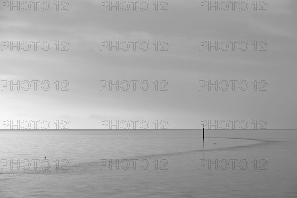 Wadden Sea at rising water, stone groyne with sea mark, black and white, North Sea, Norddeich, Lower Saxony, Germany