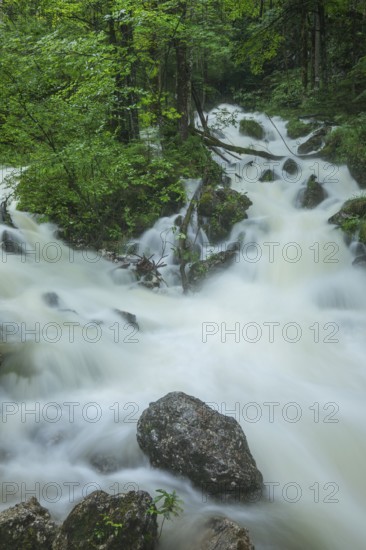 Roaring Weißbach after summer rain near Inzell
