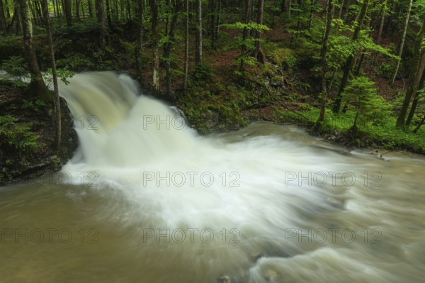 Roaring Weißbach after summer rain near Inzell