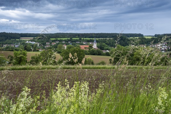 View of Münchsteinach from the Gigantic Bench, Steigerwald nature park Park, Middle Franconia, Franconia, Germany