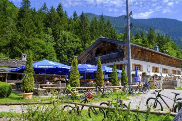 Schwaigeralm near Kreuth, Upper Bavaria, Bavaria, Germany