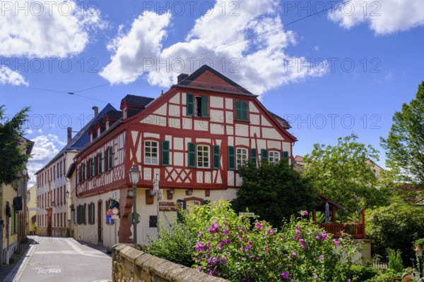 Schlossgasse, Alzey, Rhine-Hesse region, Rhineland-Palatinate, Germany