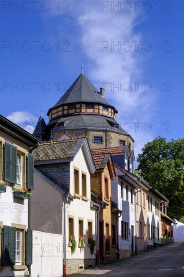 Alzey, Rhine-Hesse region, Rhineland-Palatinate, Germany
