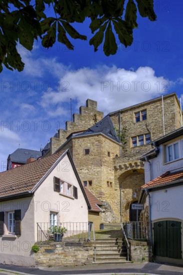 Alzeyer Castle, Alzey, Rhine-Hesse region, Rhineland-Palatinate, Germany