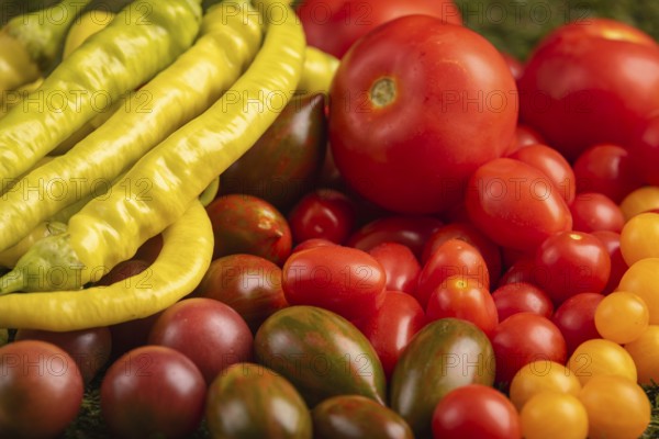 Colourful mix of fresh tomatoes and peppers on grass