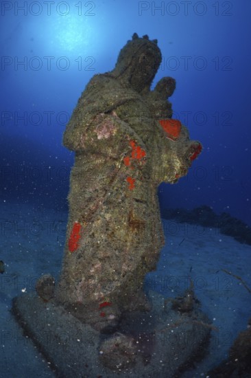 An overgrown statue of the Madonna stands on the seabed. Dive site Cueva de las Morenas, Palm Mar, Tenerife, Canary Islands, Spain