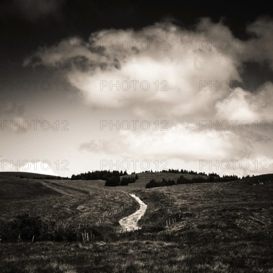 A winding path cuts through an expansive field leading toward a distant forested hill. Auvergne Volacanoes Natural Park. Puy de Dome. Auvergne. France