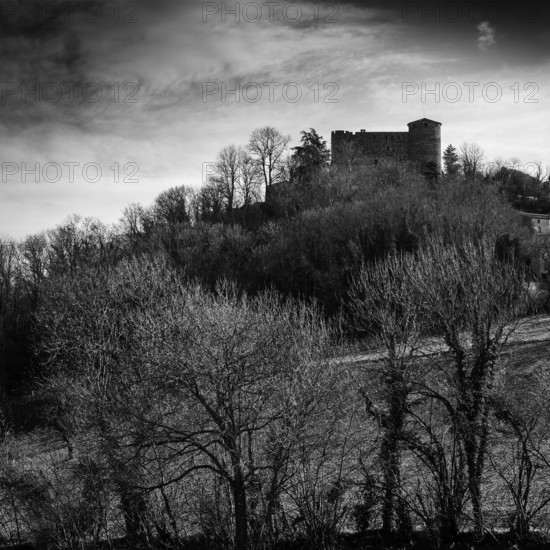 A historic castle stands prominently on a hill, silhouetted against a moody sky at dusk. Bare trees surround the castle. Puy de Dome, Auvergne, France