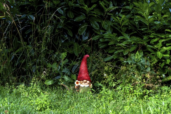 A charming ceramic garden gnome with a red hat sits among tall grass and vibrant foliage in a serene backyard. The sunlight highlights the gnome's joyful expression. France