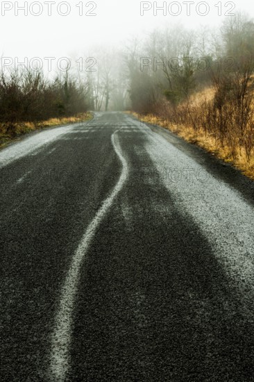 A winding road stretches through a fog-covered landscape, framed by bare trees and dry grass. Puy de Dome, Auvergne, France