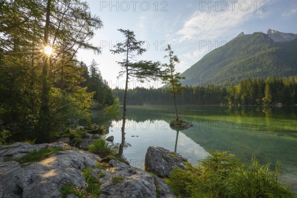 Summer morning at Hintersee near Ramsau in Berchtesgadener Land with sun star and reflection. The Hochkalter in the background