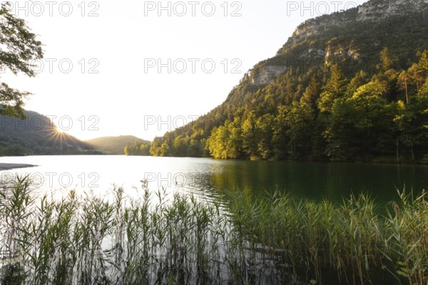 Sunrise in summer at Lake Thumsee near Bad Reichenhall