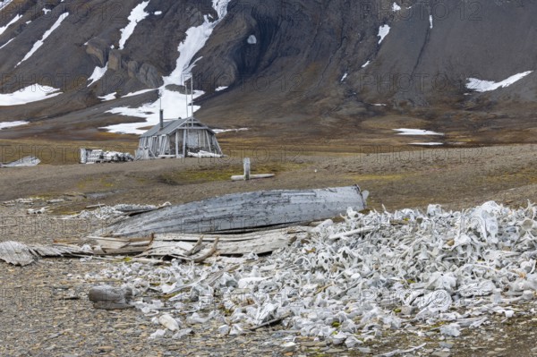 Broken wooden boat in front of hunting hut, wooden hut, bones of white whale (Delphinapterus leucas), Bamsebu, Spitsbergen, Svalbard