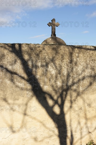 A striking shadow of a tree stretches across a weathered stone wall, while a cross is visible atop the wall against the backdrop of a cemetery. France
