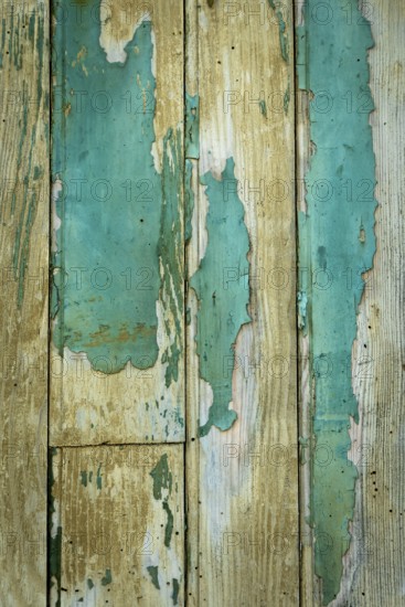 Textures of aged wooden planks show peeling paint in shades of blue and beige, reflecting years of wear and adding charm to the rustic atmosphere