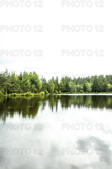 A peaceful lakeside scene showcases vibrant green trees surrounding a serene body of water. Puy de Dome. Auvergne Rhone Alpes. France
