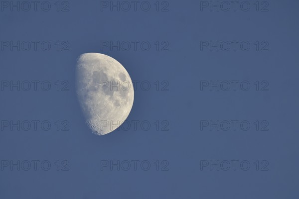 Moon (Luna), half moon in front of blue sky, waxing moon, Wilnsdorf, North Rhine-Westphalia, Germany