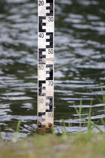 Level staff, scale, water, water level, Germany, Vertical level staff with 2cm E-scale for measuring the water level