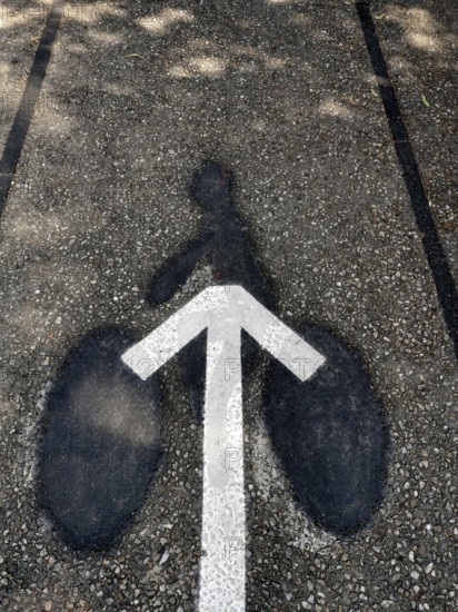 A well-defined bicycle lane marking stands out on the paved pathway, enhanced by the shadow of nearby trees. Sunlight creates patterns, making it an inviting route for cyclists