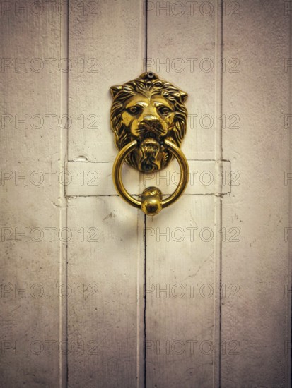 A striking golden lion door knocker captures attention, proudly mounted on a weathered white wooden door. This unique feature adds historical charm to the building's entrance
