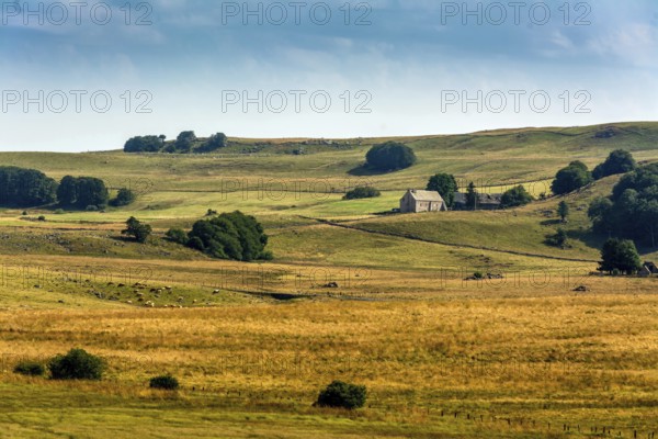 Lush green and golden fields extend across the landscape, with a quaint farmhouse nestled among trees. The dramatic sky adds depth to the serene countryside view. Aubrac plateau. Lozere. Occitanie. France