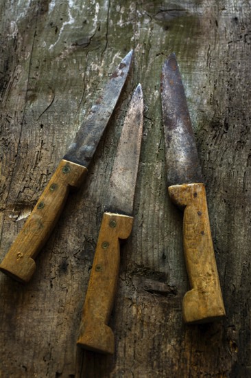 Vintage kitchen knives arranged on rustic wooden surface showcasing unique textures and worn handles