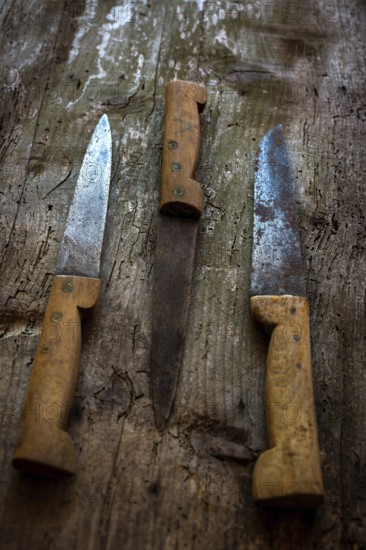 Three vintage kitchen knives are arranged on a weathered wooden surface. The blades display signs of age, and the wooden handles have a coarse texture, adding character to the scene