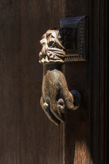 A detailed bronze hand-shaped door knocker is affixed to a rustic wooden door, showcasing intricate design and historical craftsmanship under natural light