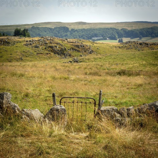 A rustic gate stands open, inviting visitors into a picturesque countryside landscape. Golden grass stretches across rolling hills under a clear sky, creating a serene and tranquil atmosphere. Aubrac plateau. Lozere. Occitanie. France