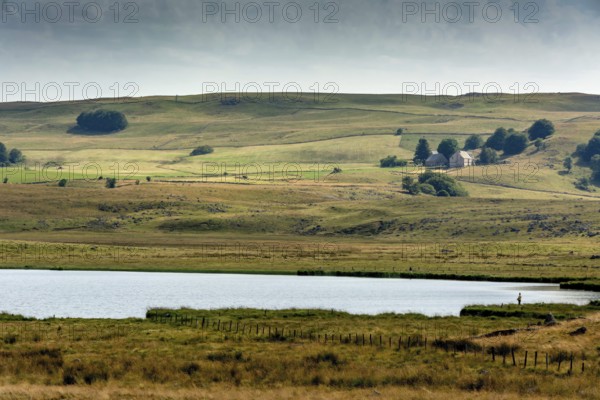 A tranquil view features a calm body of water bordered by lush green grass, rolling hills in the background, and a few scattered trees. The overcast sky adds depth to the serene atmosphere. Aubrac plateau. Lozere. Occitanie. France