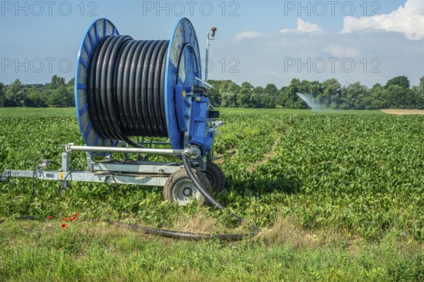 Agriculture, artificial irrigation of a field, irrigation system, sugar beet cultivation, Ystad municipality, Skåne county, Sweden, Scandinavia