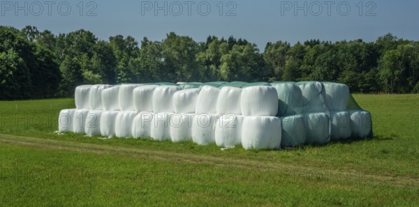 Storage of round silage bales in Ystad municipality, Skåne county, Sweden, Scandinavia